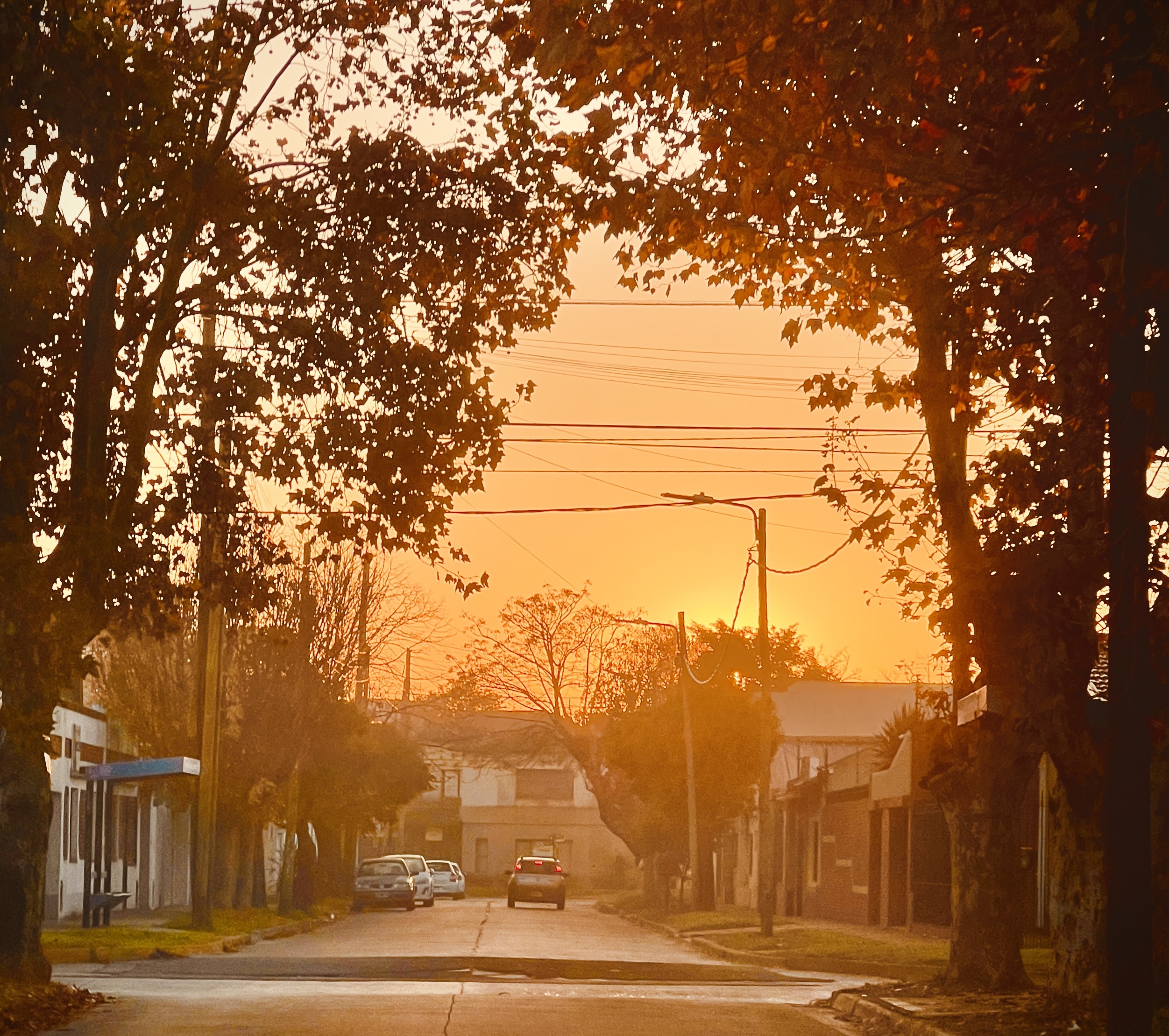 Turdera, Provincia de Buenos Aires, Argentina. Foto por: Gustavo Adrián Salvini